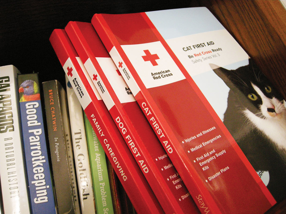 American Red Cross : creating safety and emergency preparedness products