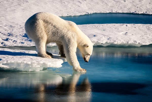 Lindblad Expeditions : inviting guests to learn facts about the ice vessel and science of polar region exploration