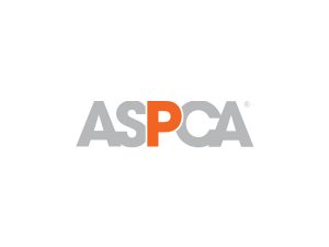 ASPCA Kids | integrated communication marketing that brings best friends closer together